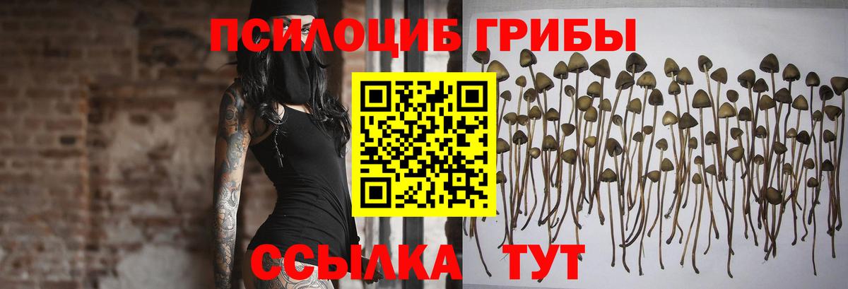 Северобайкальск  Галлюциногенные грибы MAGIC MUSHROOMS  Вход с VPN 